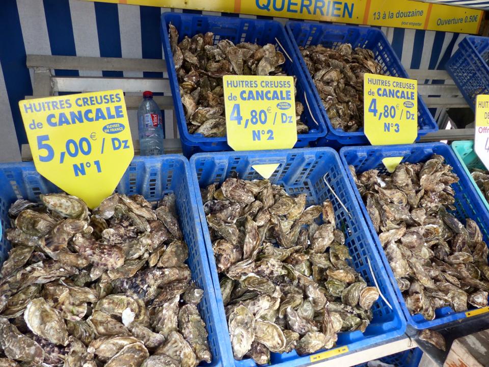 Cale huitre  Capital Fish Markets