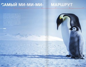 penguin article