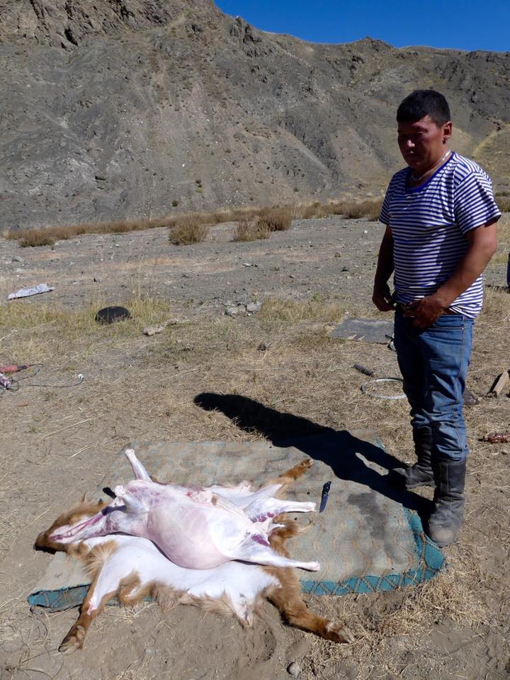 Mongolia: Goat Feast – Travel2Unlimited